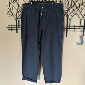 Lou & Grey charcoal gray button down cropped pants size LG NWT - never worn